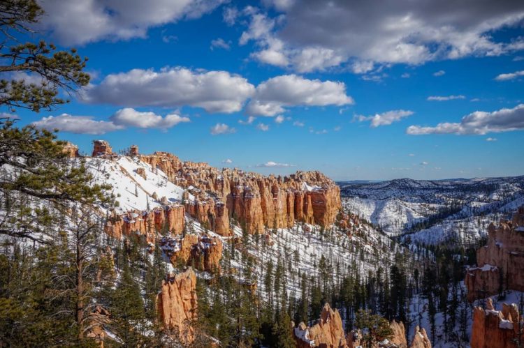 Swamp Canyon Lookout