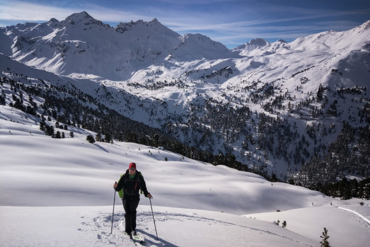 Robert oberhalb der Baumgrenze