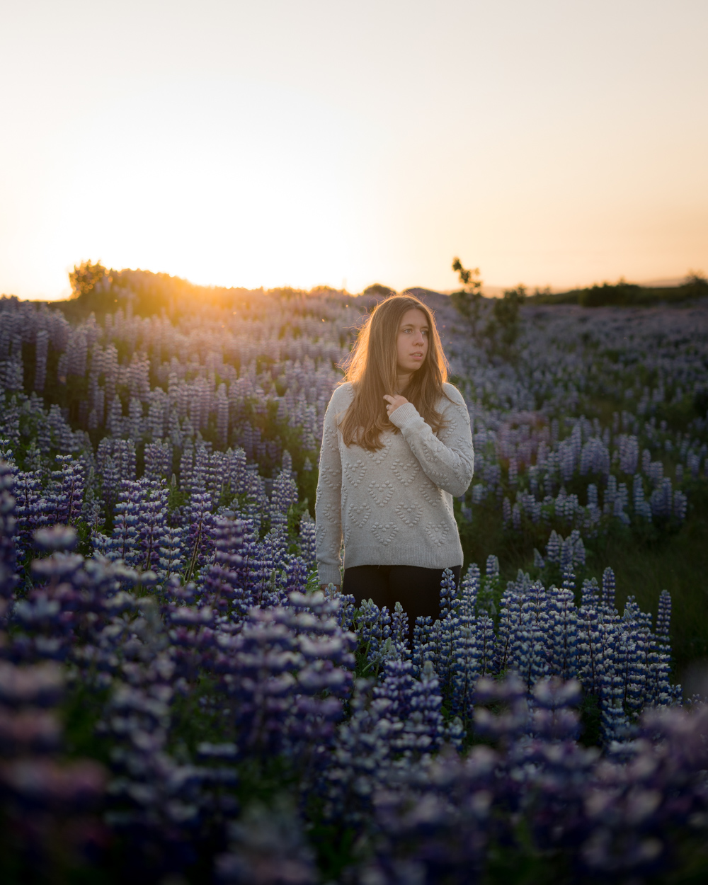 Fotoshooting im Lupinenfeld