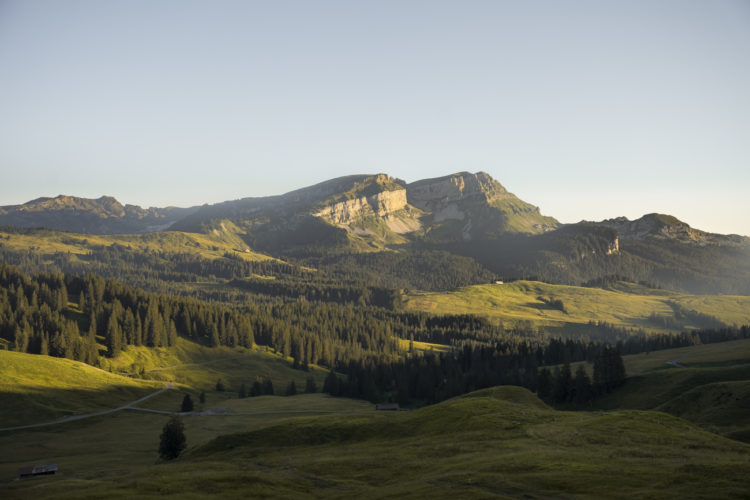 Blick zurück zur Lombachalp