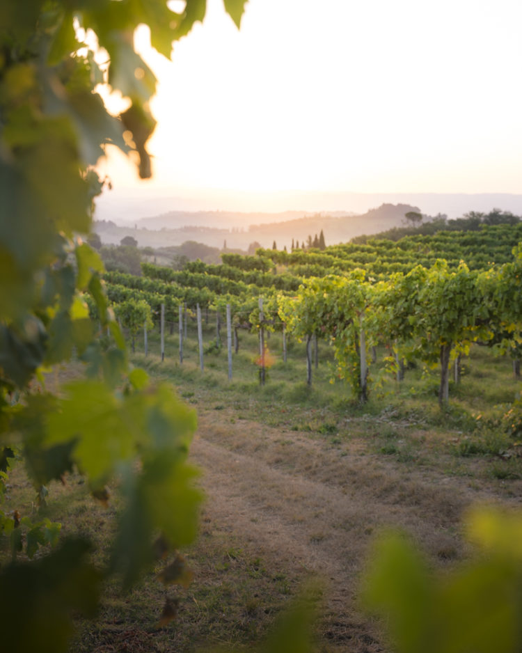 Sonnenaufgang Toskana-Style!