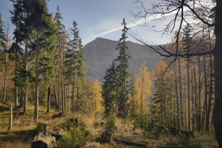 Blick auf die Halserspitz und den Blauberggrat