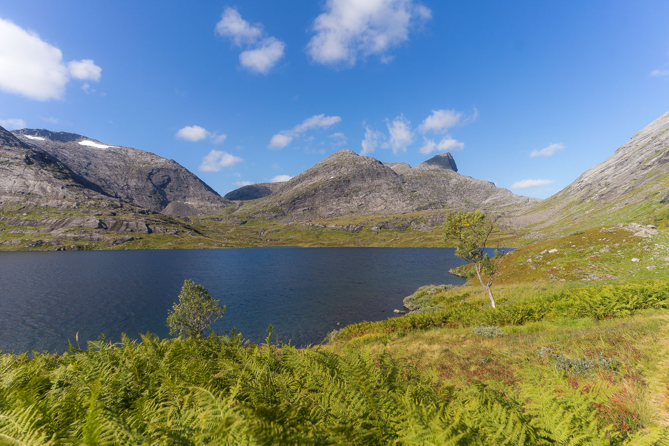 Am nördlichen Ufer des Drogvatnet Am nördlichen Ufer des Drogvatnet