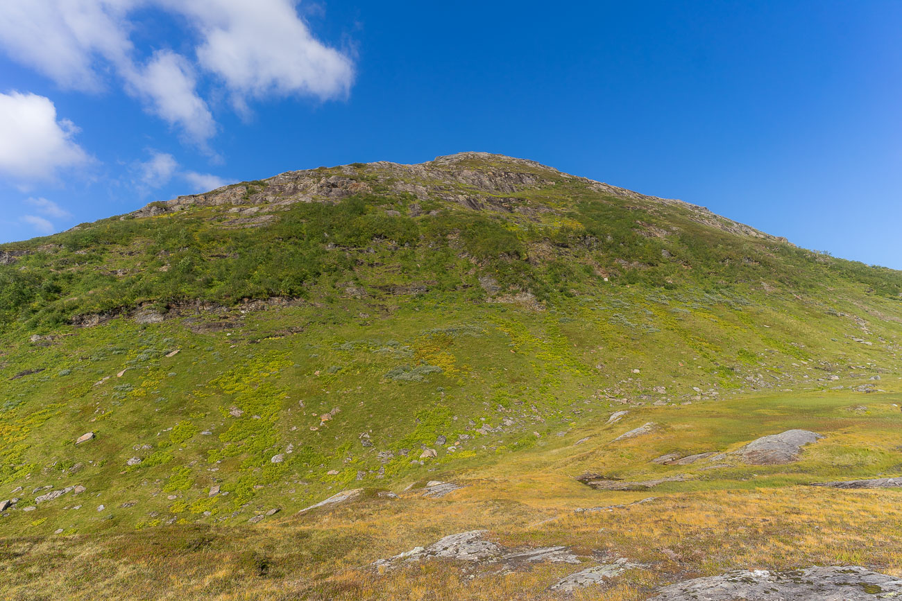 Die vorgeschlagene Route etwa in der Bildmitte. No chance Die vorgeschlagene Route etwa in der Bildmitte. No chance