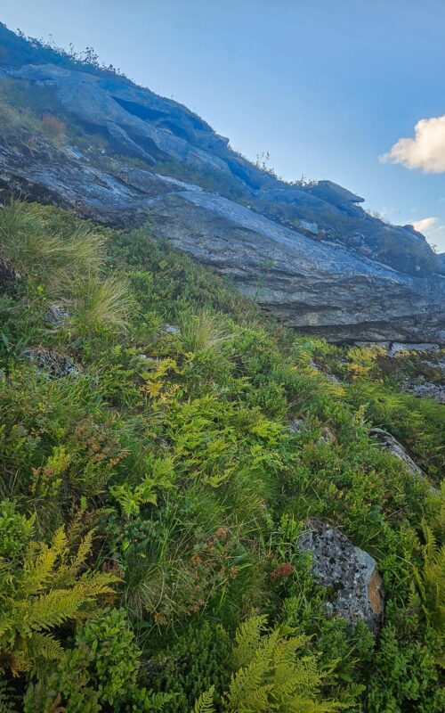 Beispielbild der Querung. Höchst unangenehm! Beispielbild der Querung. Höchst unangenehm!